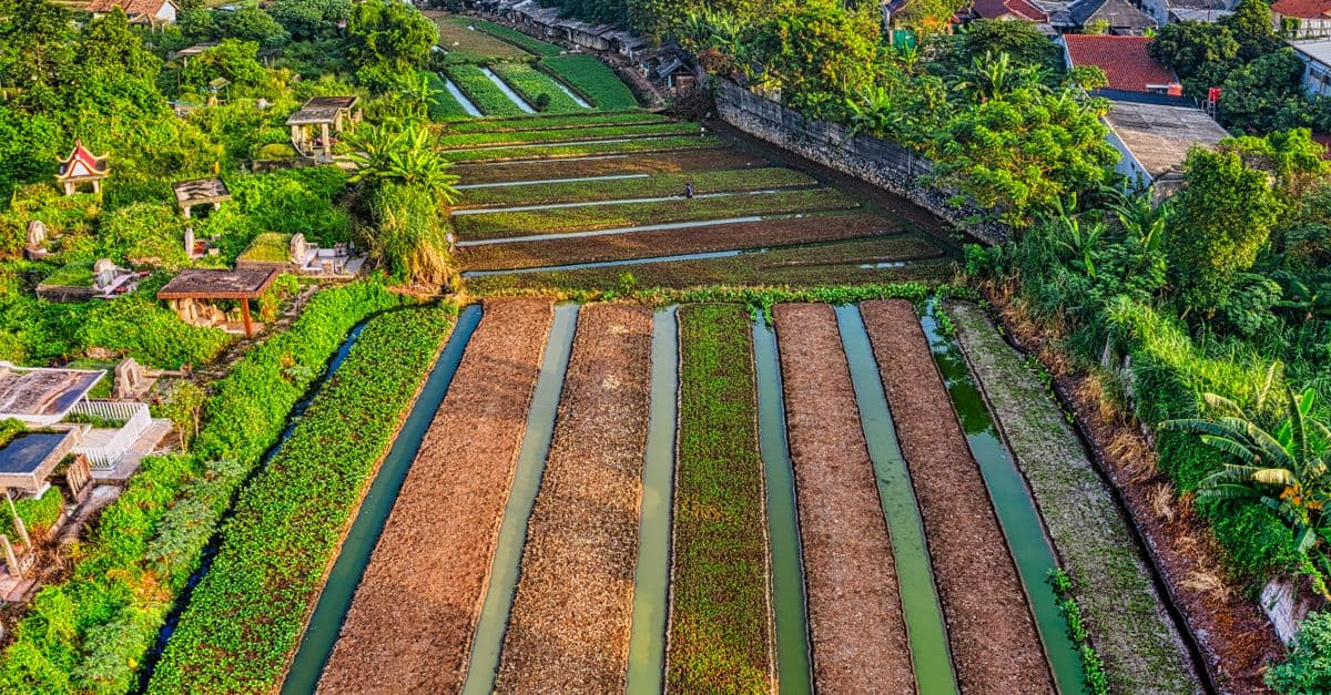 Agricultural Intervention Design & Localization
