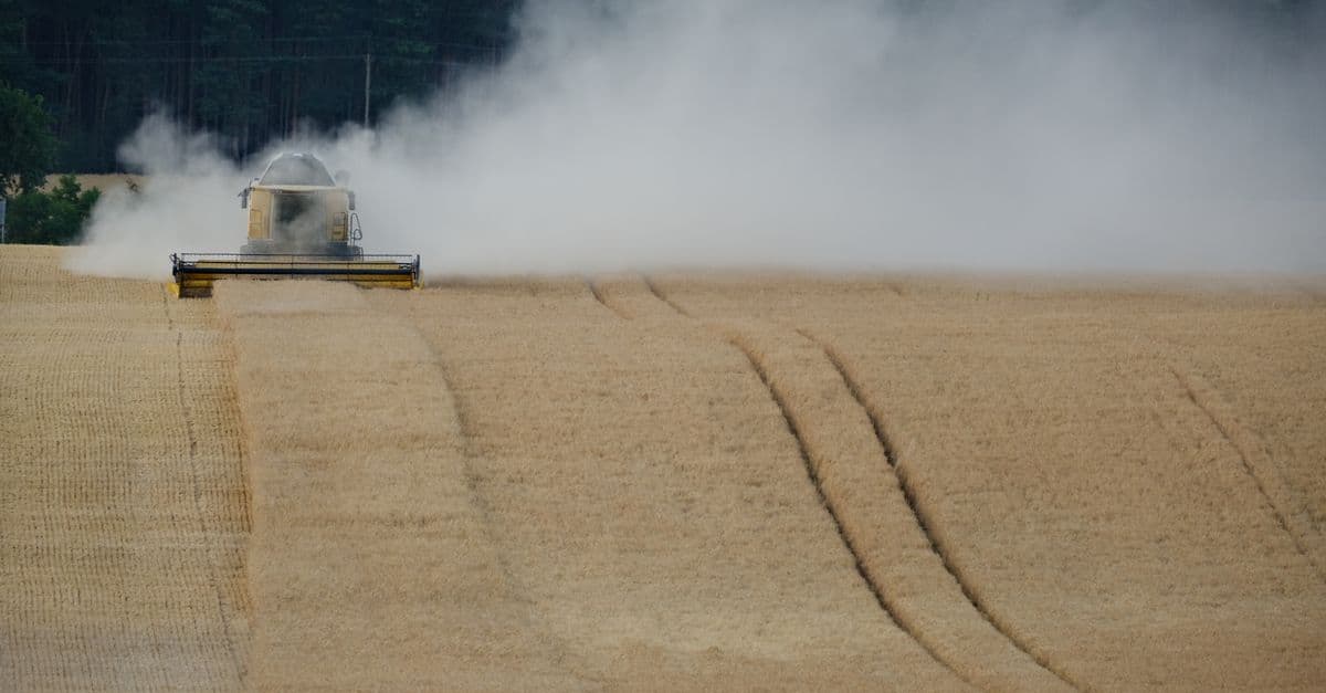 Agricultural Processing Optimization