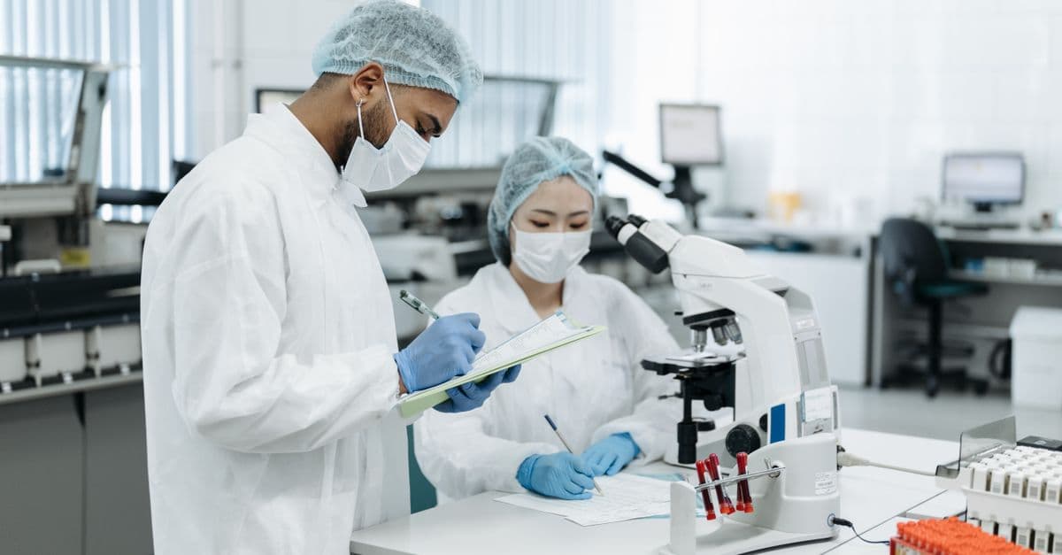 Bioequivalence Study Optimization