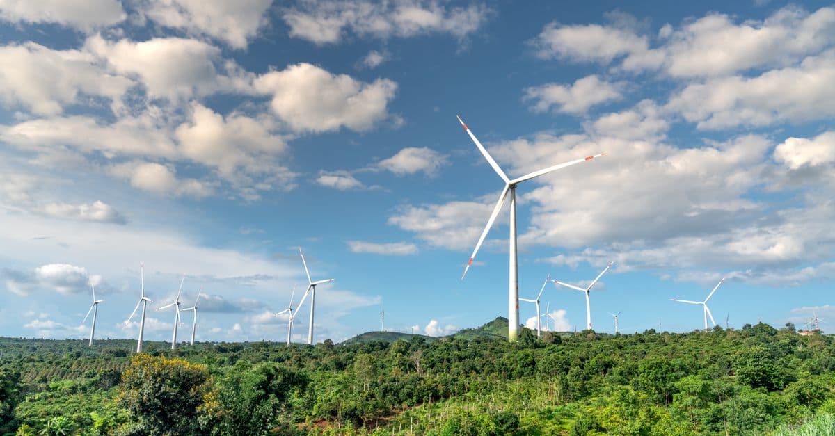 Carbon Credit Arbitrage Analyzer