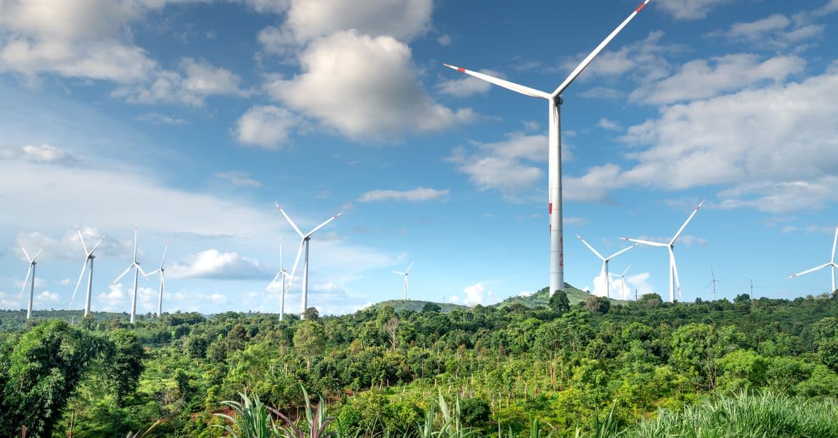 Carbon Offset Project Validator
