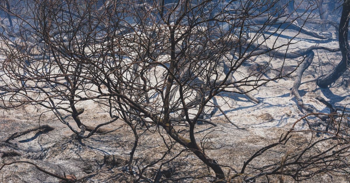 Climate Risk Intelligence for Catastrophe Modeling