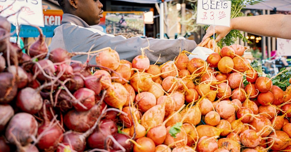 Community Nutrition Program Designer
