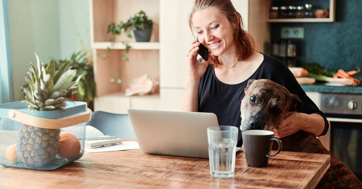 Companion Animal Nutrition Planner