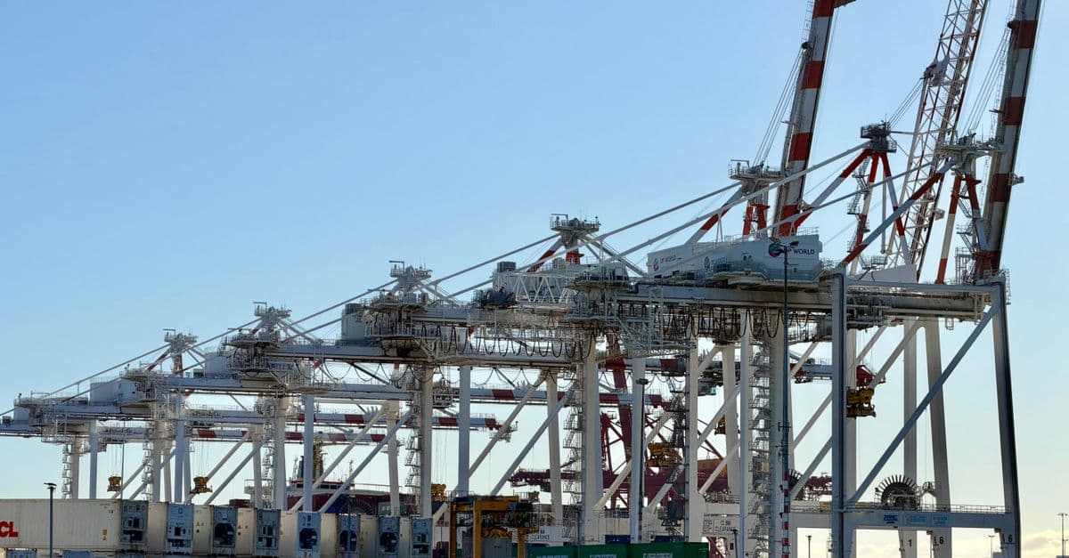 Container Terminal Operations Optimizer