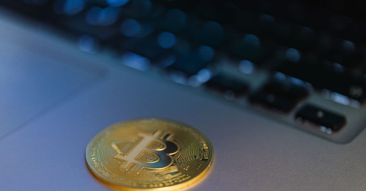 Crypto License Compliance Tracker