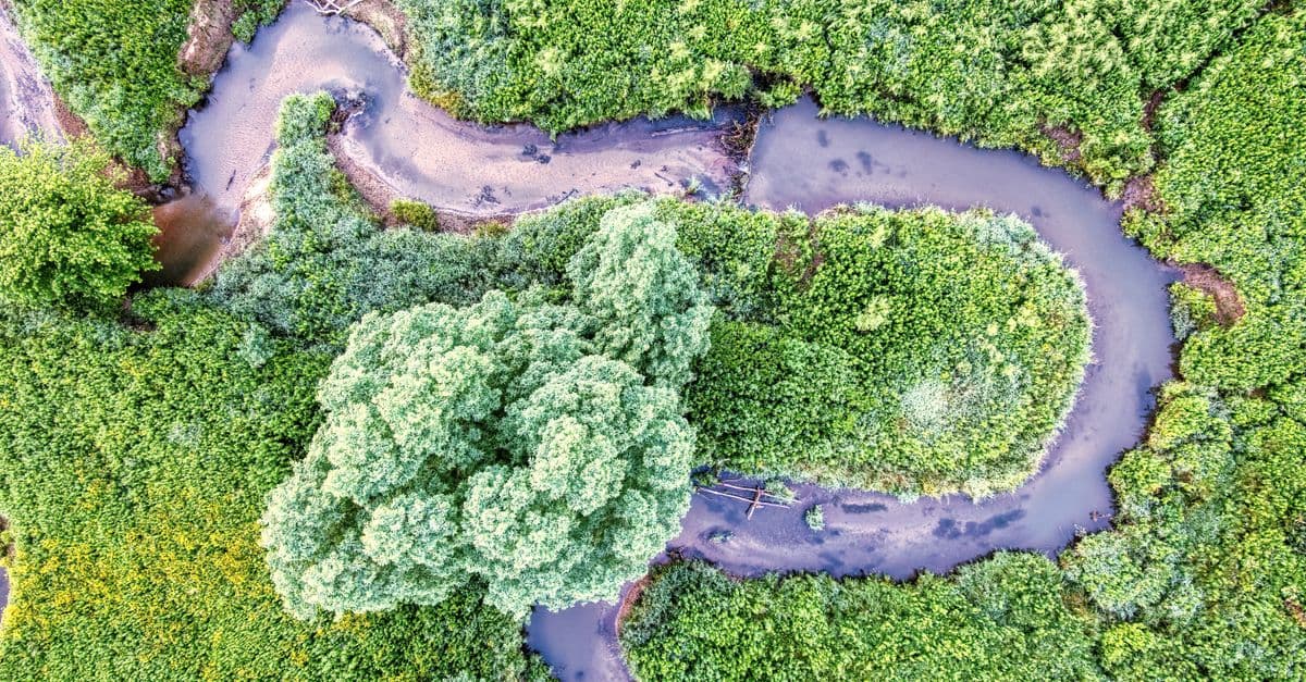 Ecological Assessment and Analysis