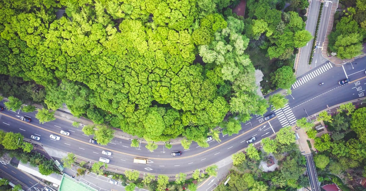 ESG Materiality Assessment & Strategic Integration