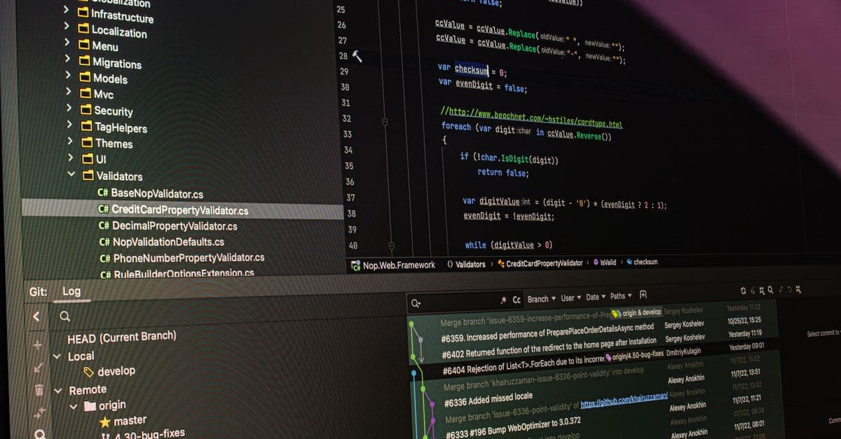 Financial Model Development & Validation