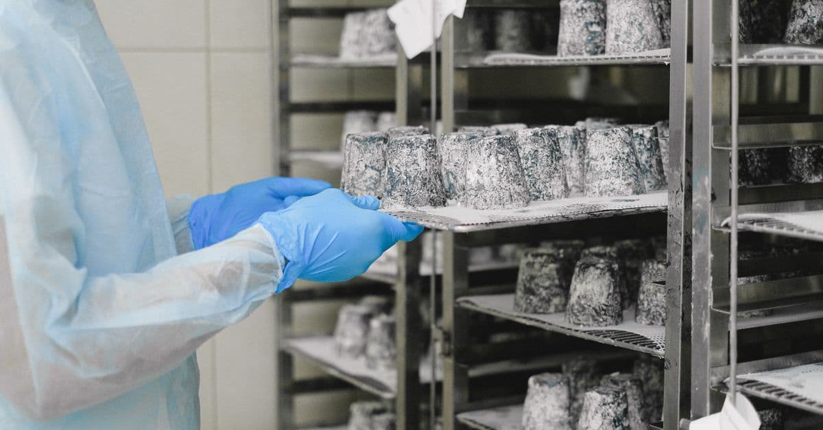 Food Safety Audit Protocol Builder