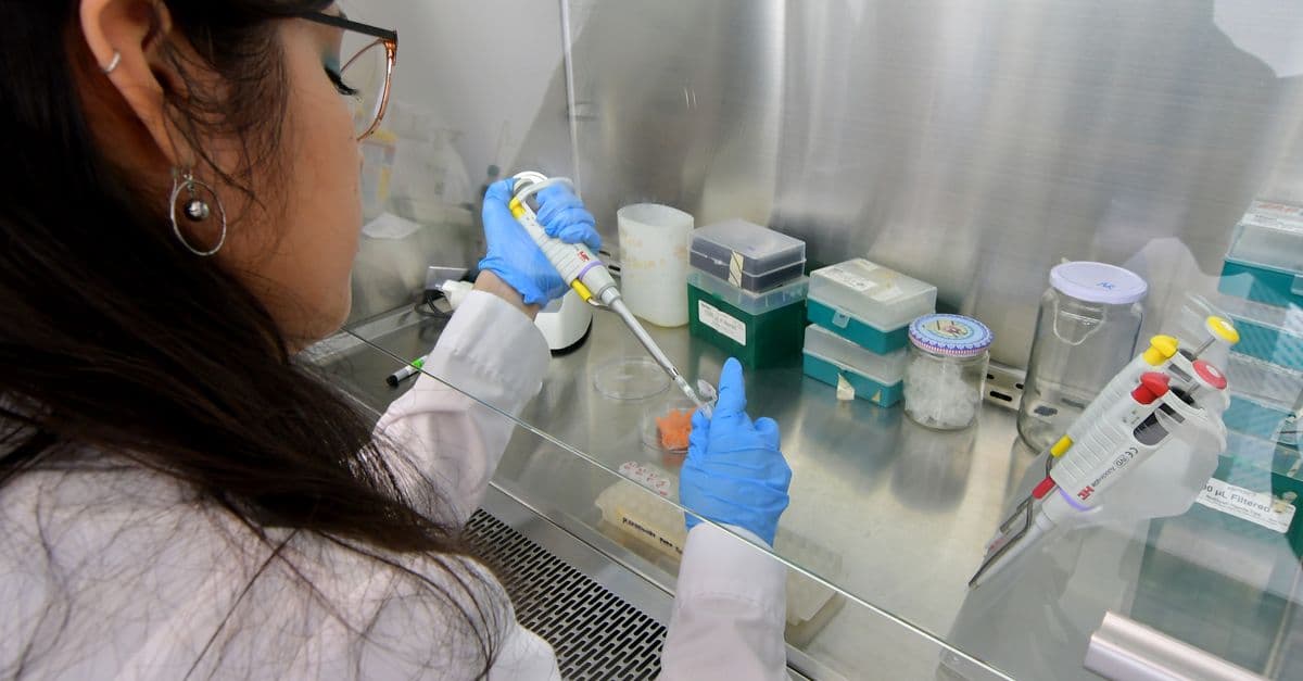 Food Safety Outbreak Investigator