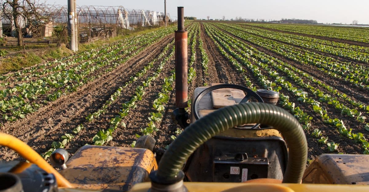 Germplasm Selection Analyzer for Agronomists