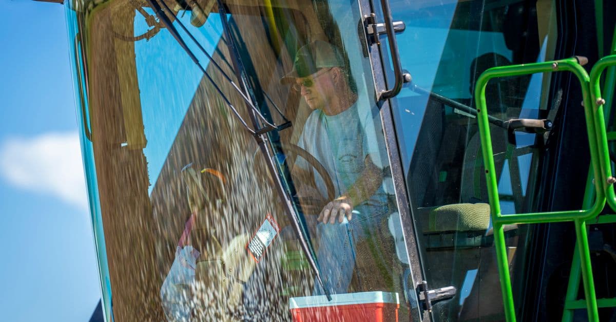 Harvest Timing Optimization for Viticulturists