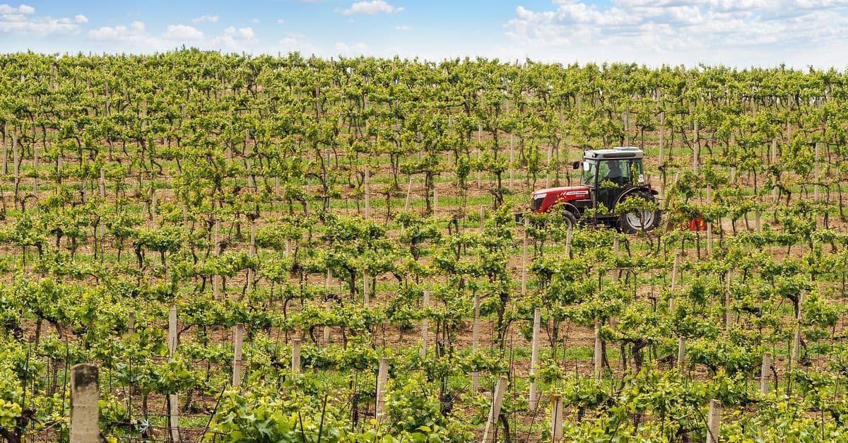 Harvest Timing Prediction & Logistics Coordination