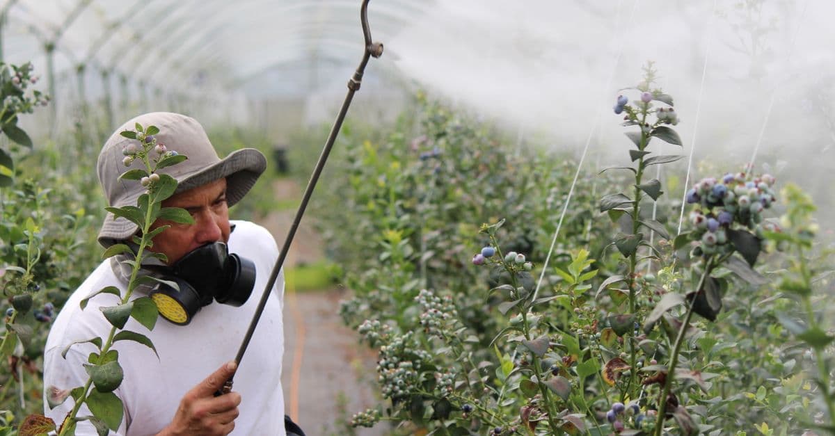 Integrated Pest Management Assistant