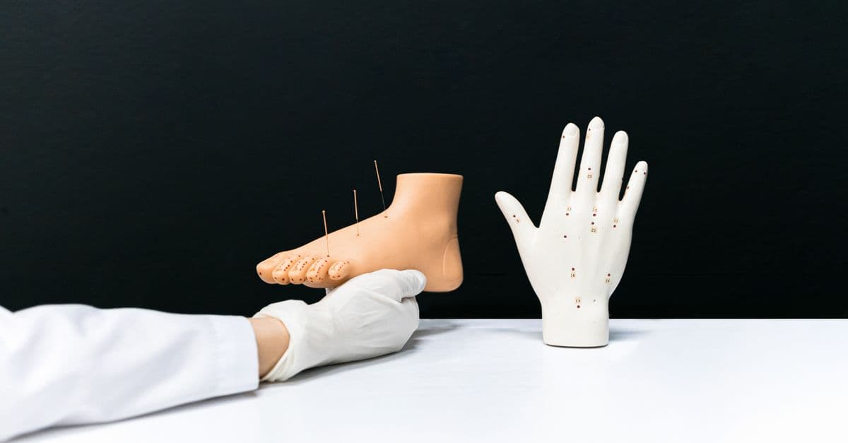 Integrative Acupuncture Treatment Planner