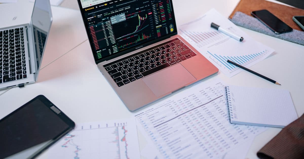 Investment Due Diligence Analyzer