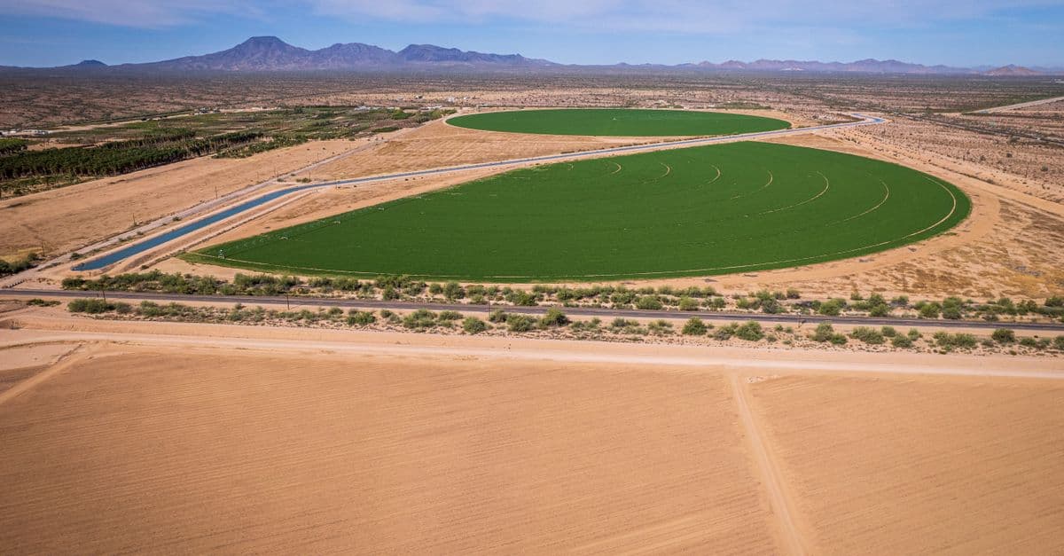 Irrigation System Designer