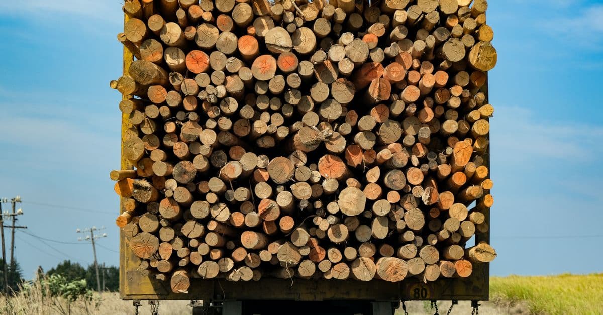 Log Analyzer