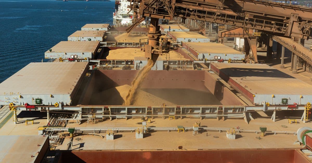 Marine Cargo Survey Analyzer