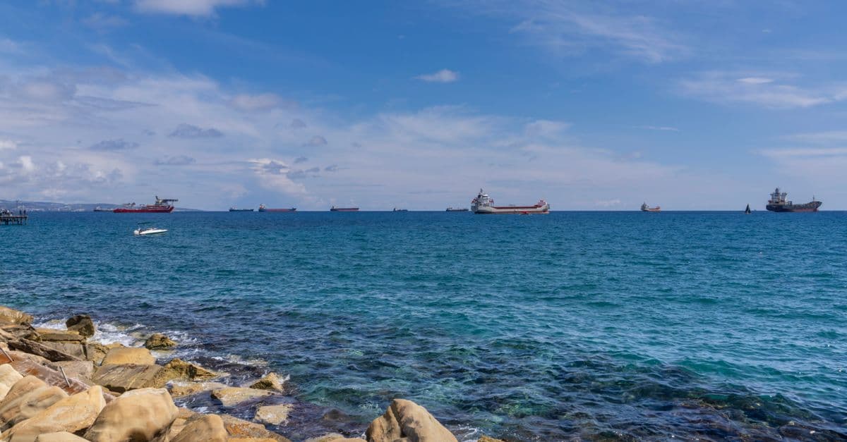 Marine Classification Survey Report Assistant