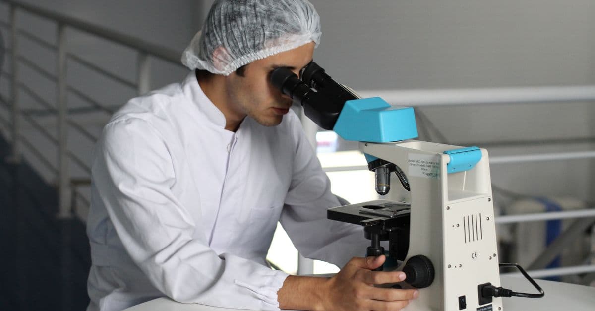 Medical & Scientific Documentation Compiler