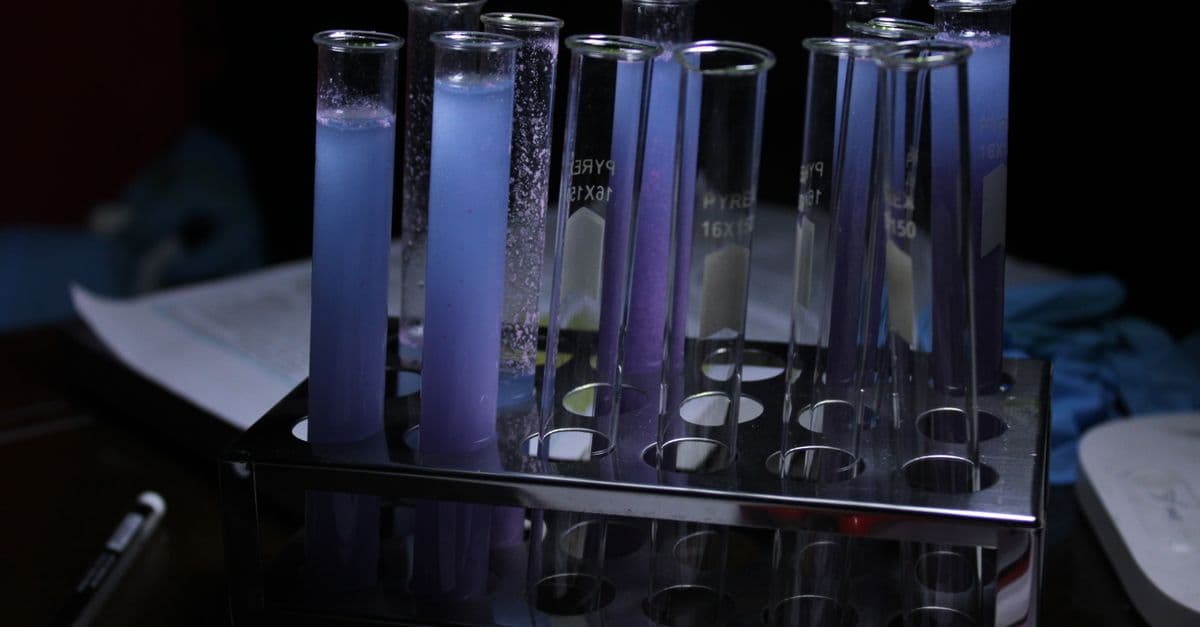 Research Synthesis