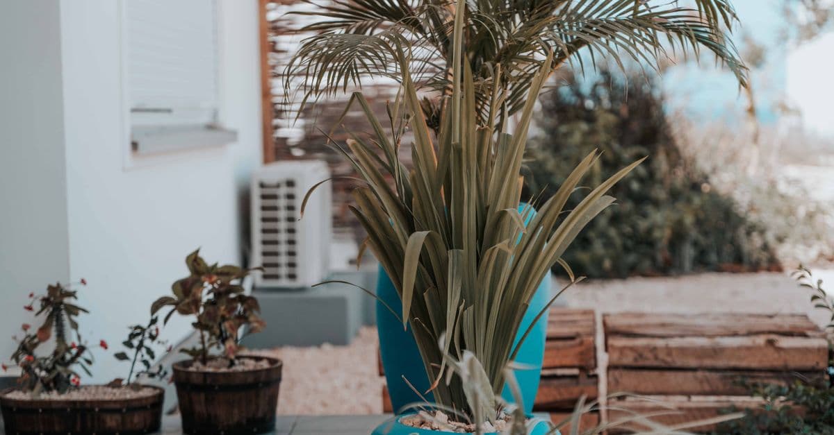 Residential Planting Design Optimizer