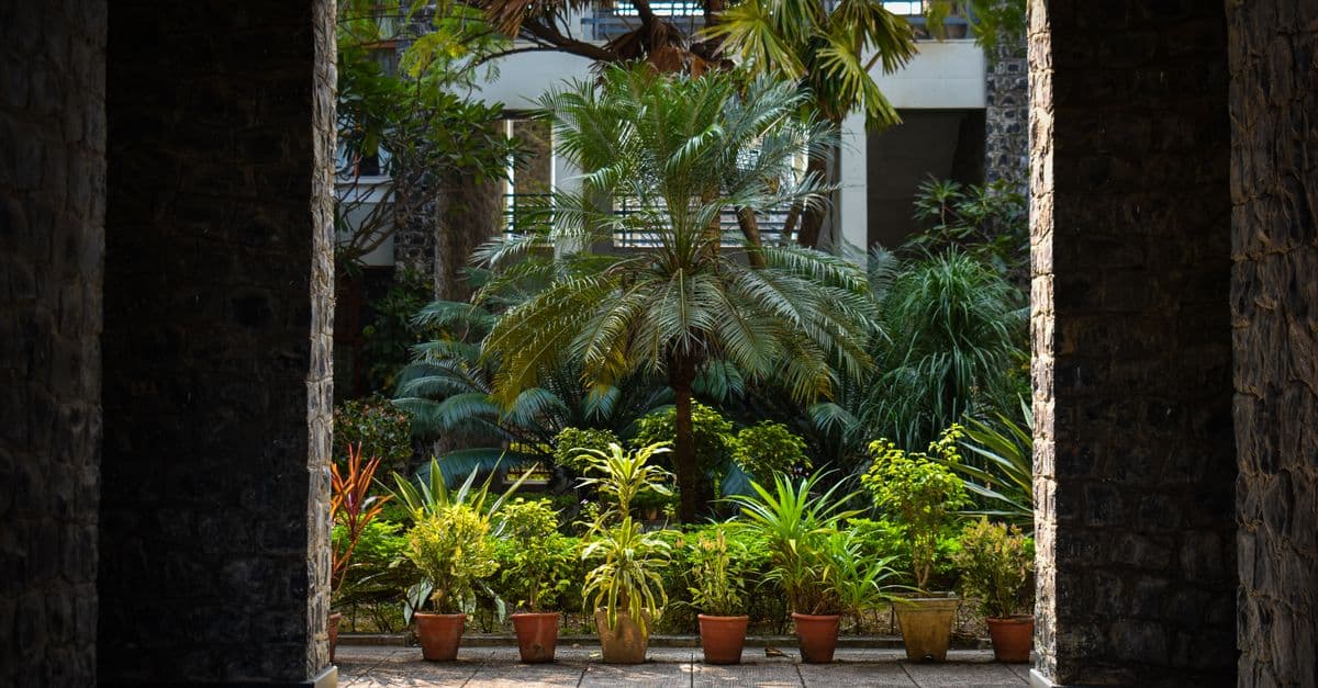 Residential Planting Design Optimizer
