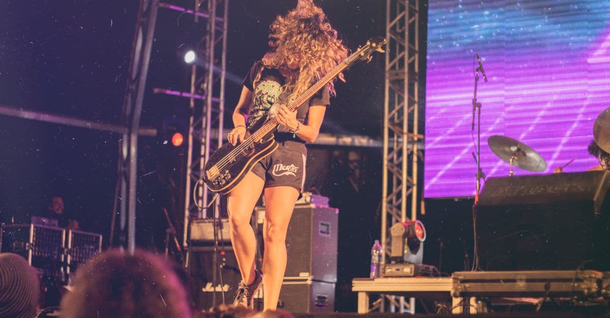 Rock Artist Potential Evaluator