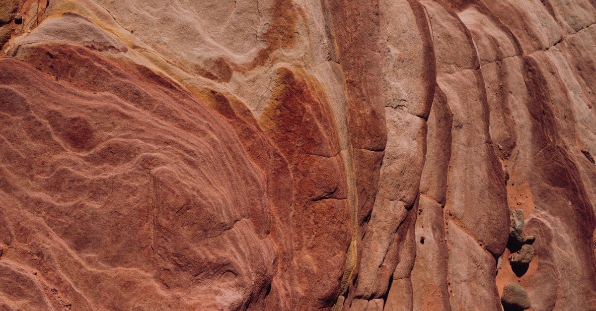 Seismic Interpretation Systematizer