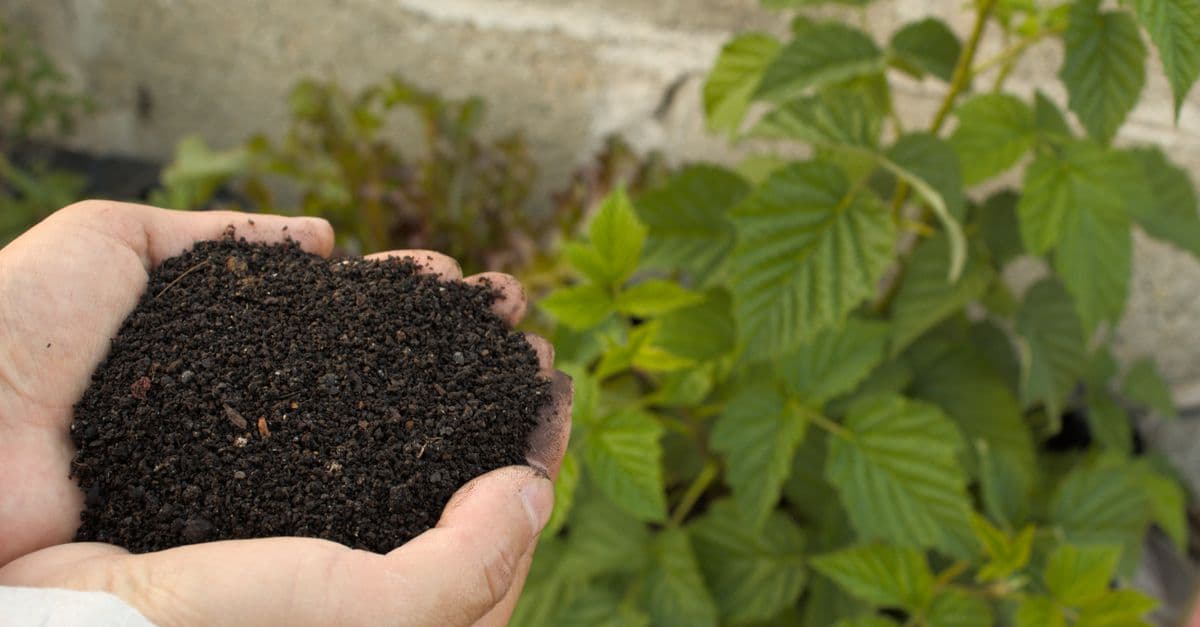 Soil Remediation Assessment Analyzer