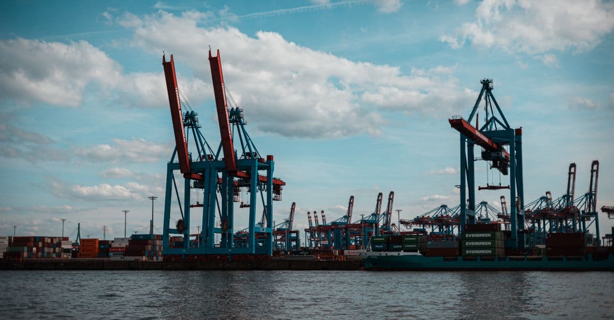 Specialized Cargo Solutions Designer