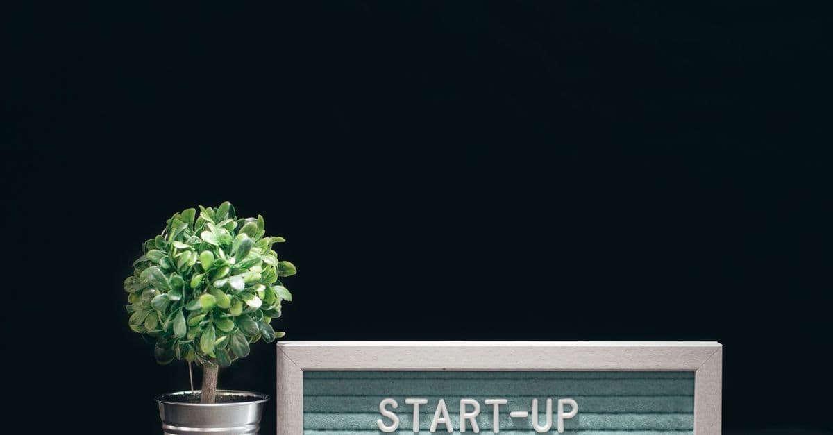 Startup Investor Communication Strategy