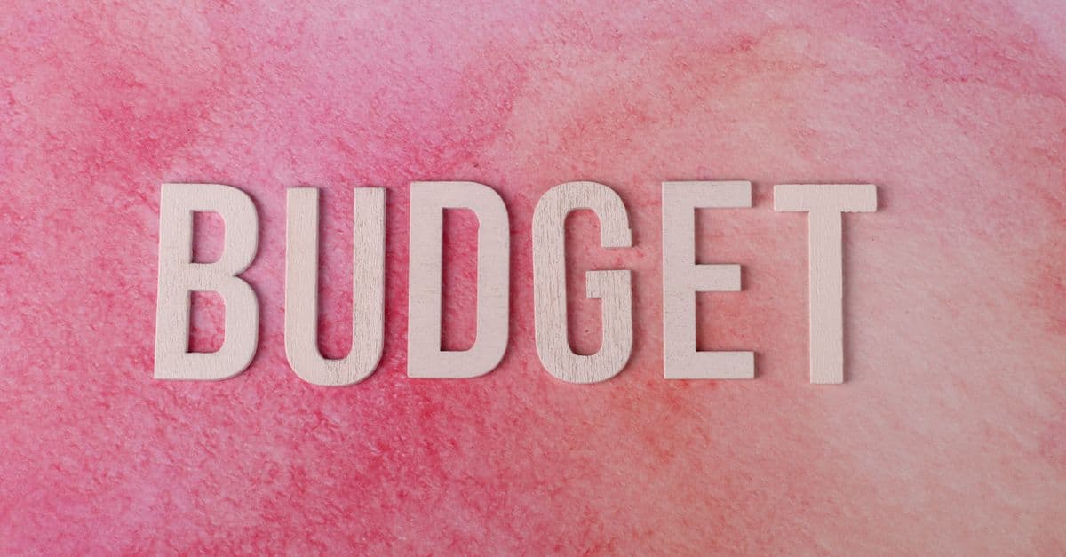 State Medicaid Budget Variance Analysis