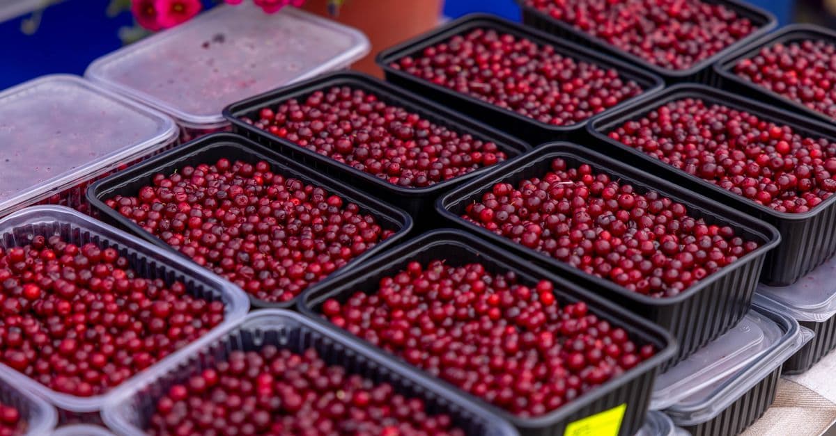 Sustainable Food Packaging Optimizer