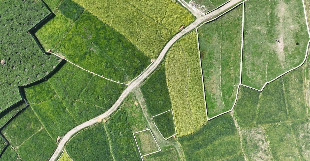 Topographic Survey Data Analysis & Interpretation