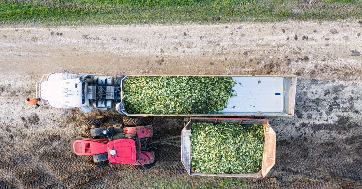 Variable Rate Application Optimizer for Precision Agriculture