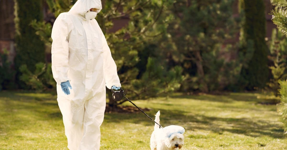 Veterinary Disease Control: Outbreak Investigation & Response