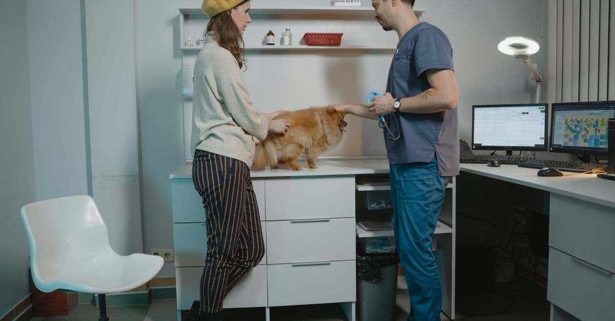 Veterinary Practice Protocol Development