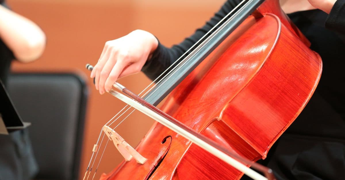 VIP Guest Relations Orchestration