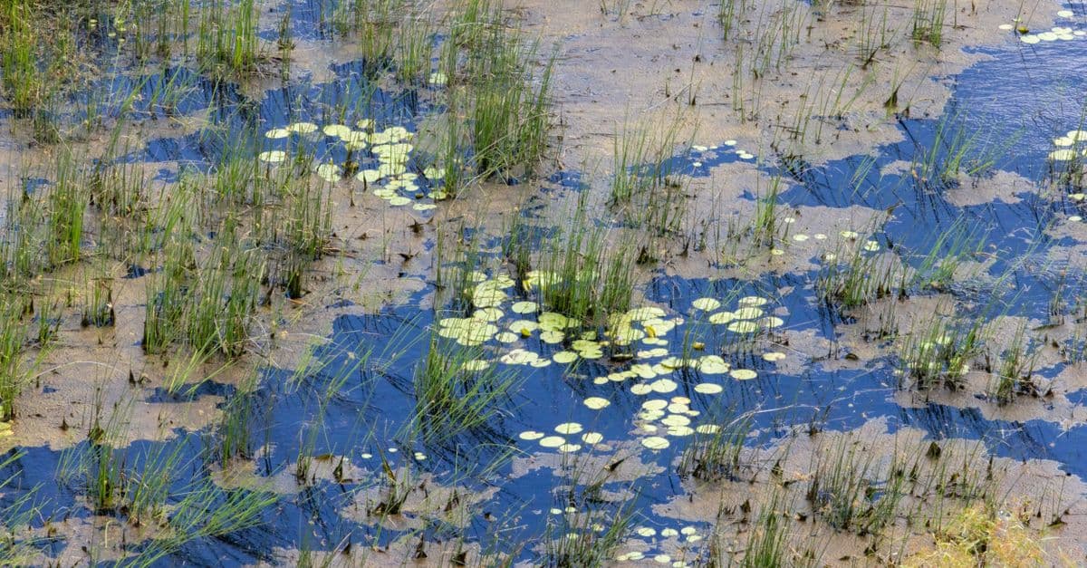 Wetland Restoration Assessment & Design Framework