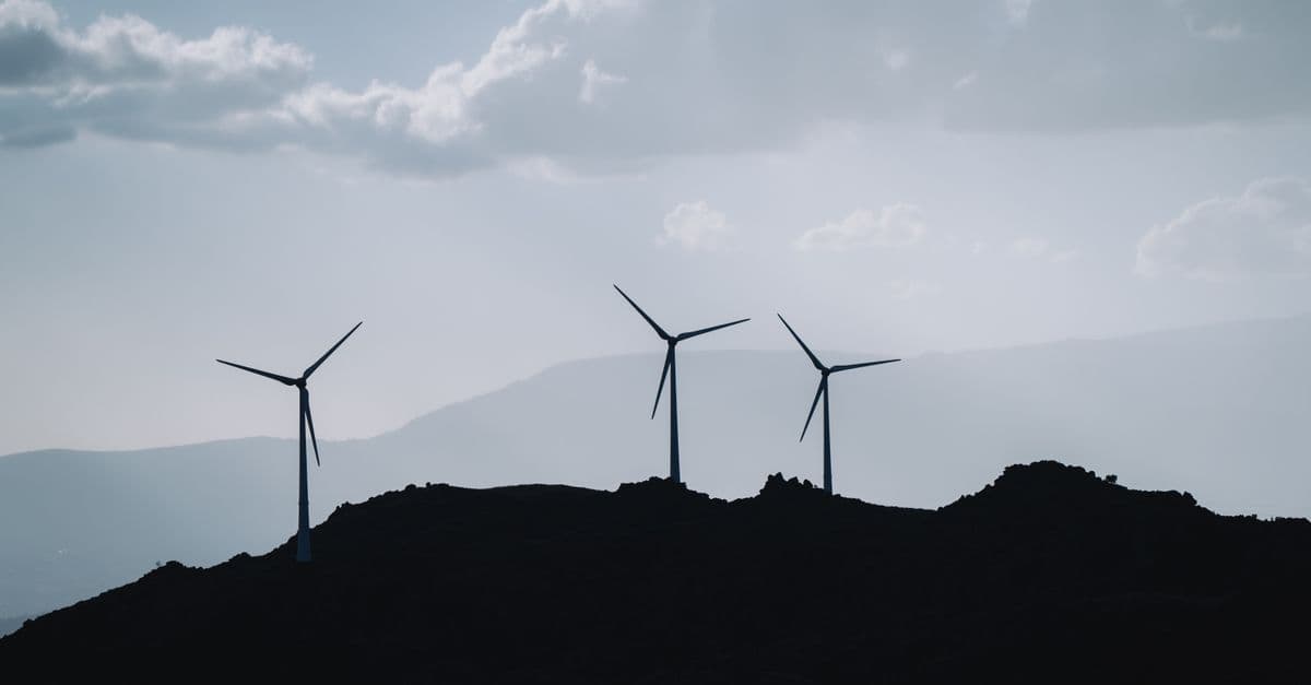 Wind Farm Layout Optimization for Wind Farms