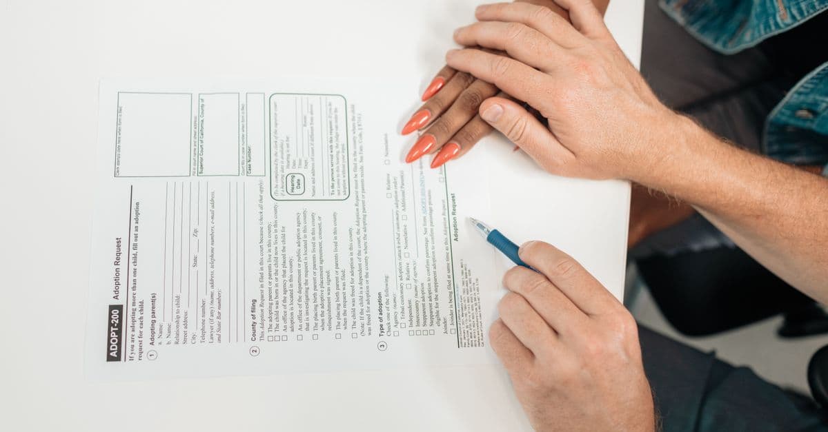 Adoption Case Strategist and Drafter