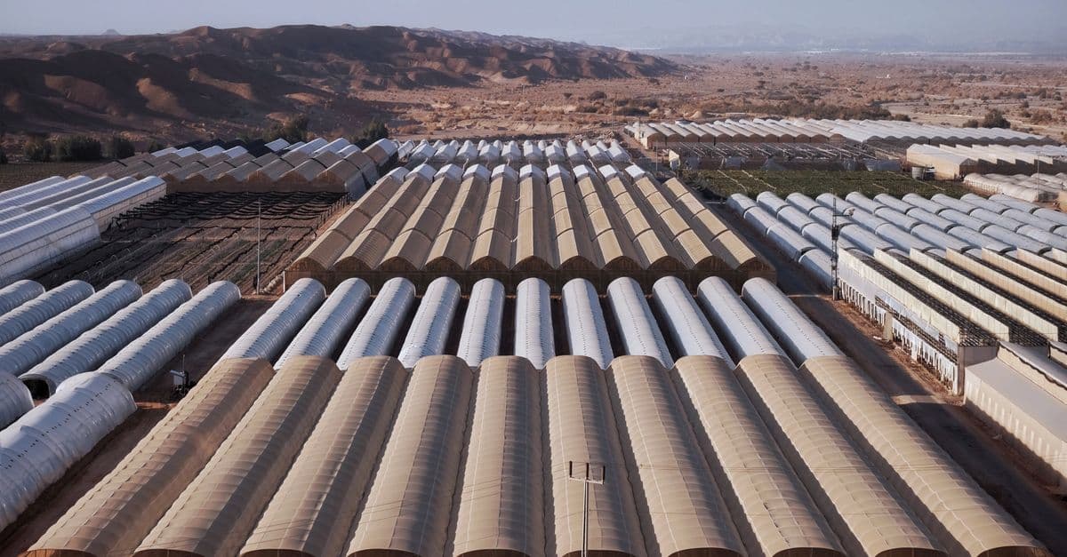Agricultural Structure Load Analysis