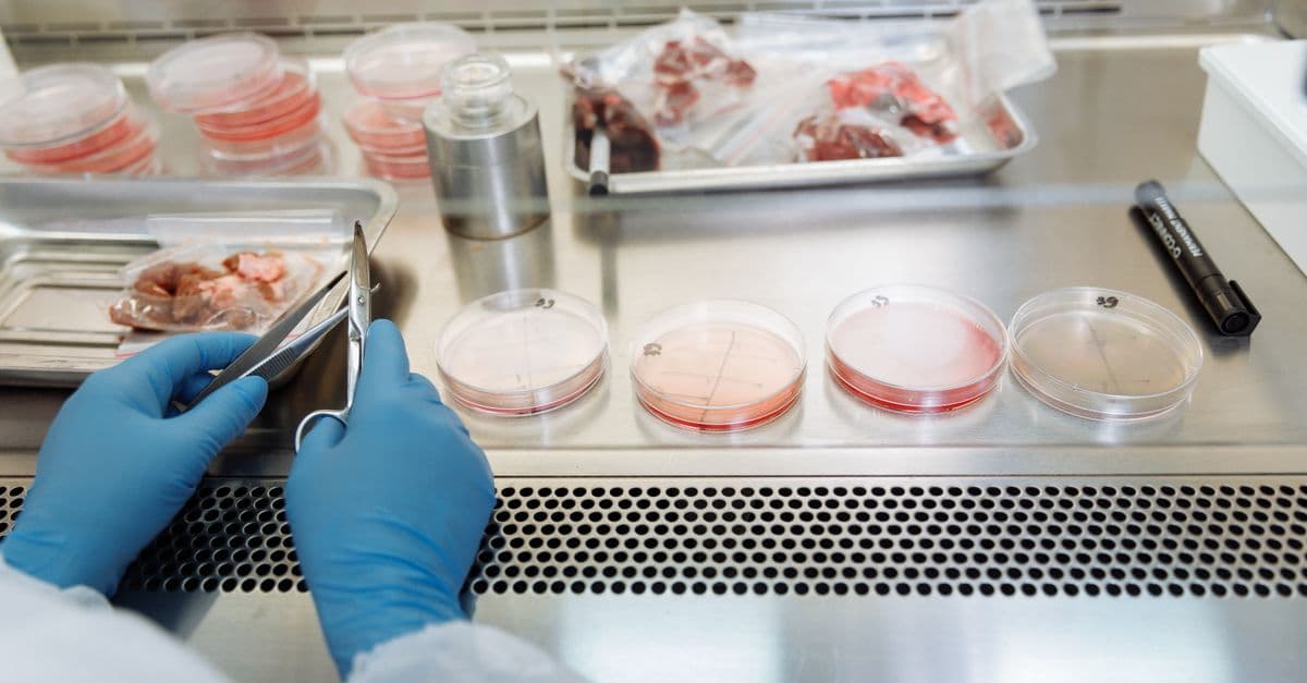 Experimental Design & Statistical Framework for Life Sciences