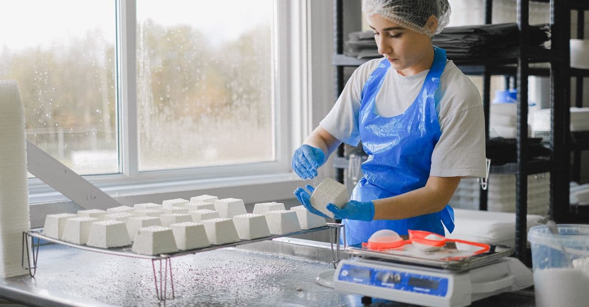 Food Processing Optimization Advisor