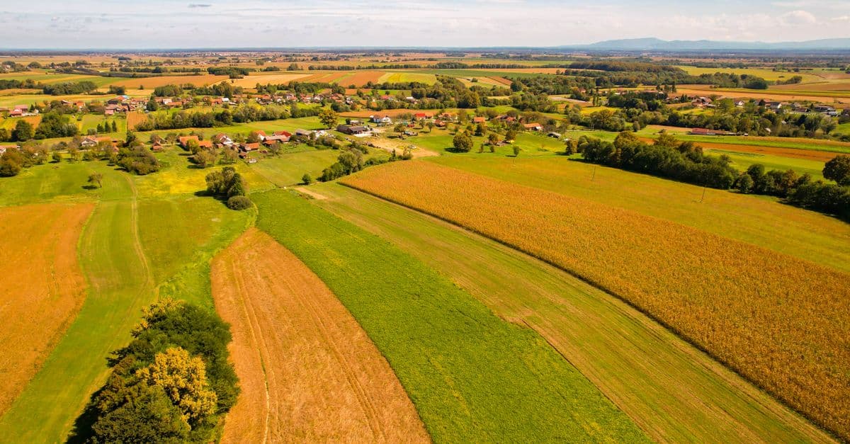 Land Auction Due Diligence Brief Generator