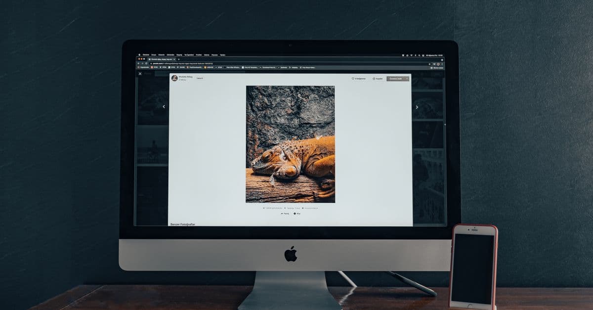 Mailchimp Campaign Optimizer
